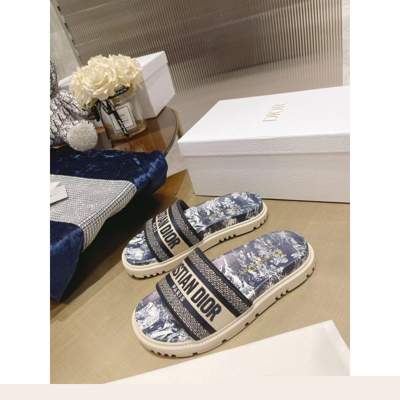 ch**an D*or slippers